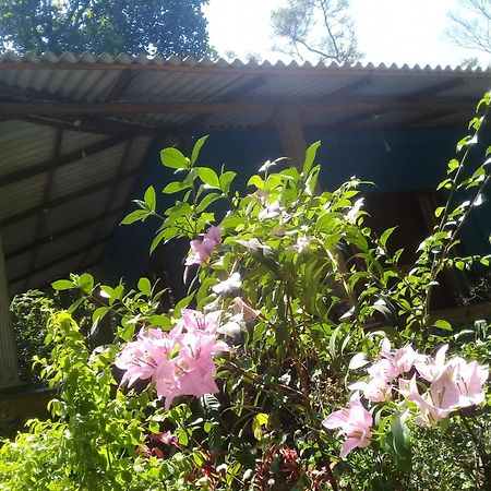 Dambulla Sun Vsh Holiday Zewnętrze zdjęcie