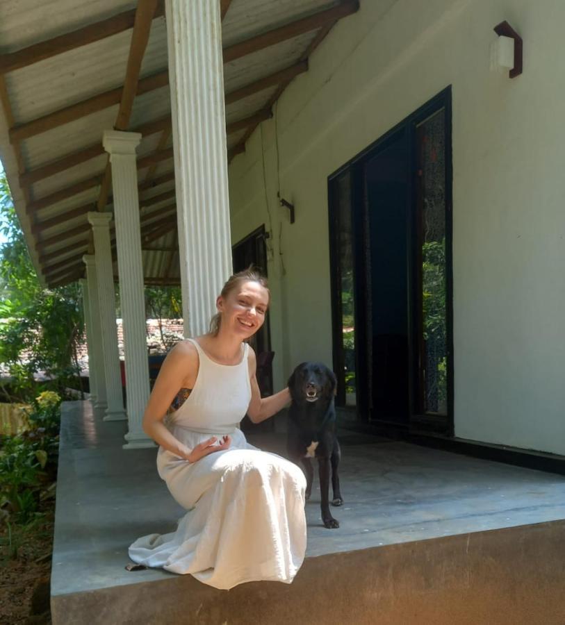 Dambulla Sun Vsh Holiday Zewnętrze zdjęcie