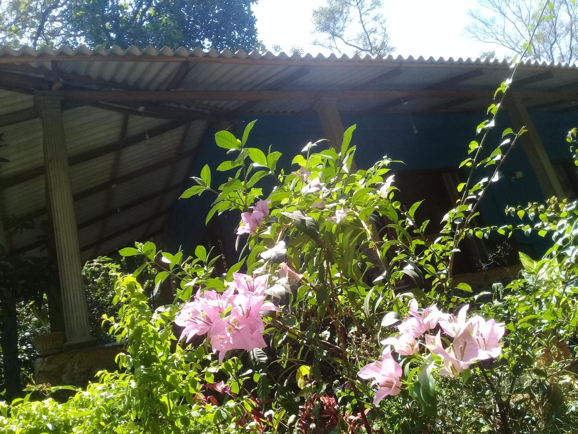 Dambulla Sun Vsh Holiday Zewnętrze zdjęcie